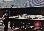 Standbild Konzentrationslager Dachau Dachau Deutschland, 1945, aus Sekunde 28 historischem Filmmaterial Videoclip 65675055273
