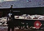 Standbild Konzentrationslager Dachau Dachau Deutschland, 1945, aus Sekunde 31 historischem Filmmaterial Videoclip 65675055273