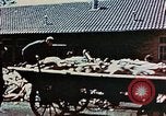 Standbild Konzentrationslager Dachau Dachau Deutschland, 1945, aus Sekunde 34 historischem Filmmaterial Videoclip 65675055273
