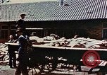 Standbild Konzentrationslager Dachau Dachau Deutschland, 1945, aus Sekunde 38 historischem Filmmaterial Videoclip 65675055273