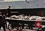 Standbild Konzentrationslager Dachau Dachau Deutschland, 1945, aus Sekunde 39 historischem Filmmaterial Videoclip 65675055273