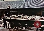 Standbild Konzentrationslager Dachau Dachau Deutschland, 1945, aus Sekunde 40 historischem Filmmaterial Videoclip 65675055273