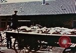 Standbild Konzentrationslager Dachau Dachau Deutschland, 1945, aus Sekunde 41 historischem Filmmaterial Videoclip 65675055273