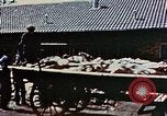 Standbild Konzentrationslager Dachau Dachau Deutschland, 1945, aus Sekunde 42 historischem Filmmaterial Videoclip 65675055273