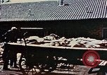 Standbild Konzentrationslager Dachau Dachau Deutschland, 1945, aus Sekunde 44 historischem Filmmaterial Videoclip 65675055273