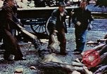 Standbild Konzentrationslager Dachau Dachau Deutschland, 1945, aus Sekunde 30 historischem Filmmaterial Videoclip 65675055274