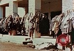 Standbild Konzentrationslager Dachau Dachau Deutschland, 1945, aus Sekunde 8 historischem Filmmaterial Videoclip 65675055275