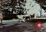 Standbild Konzentrationslager Dachau Dachau Deutschland, 1945, aus Sekunde 6 historischem Filmmaterial Videoclip 65675055276