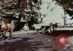 Standbild Konzentrationslager Dachau Dachau Deutschland, 1945, aus Sekunde 7 historischem Filmmaterial Videoclip 65675055276