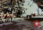 Standbild Konzentrationslager Dachau Dachau Deutschland, 1945, aus Sekunde 8 historischem Filmmaterial Videoclip 65675055276