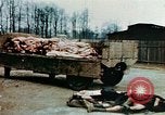 Standbild Konzentrationslager Buchenwald Ettersberg Deutschland, 1945, aus Sekunde 4 historischem Filmmaterial Videoclip 65675055277