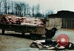 Standbild Konzentrationslager Buchenwald Ettersberg Deutschland, 1945, aus Sekunde 5 historischem Filmmaterial Videoclip 65675055277