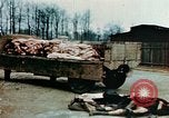 Standbild Konzentrationslager Buchenwald Ettersberg Deutschland, 1945, aus Sekunde 6 historischem Filmmaterial Videoclip 65675055277