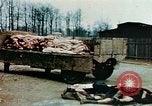 Standbild Konzentrationslager Buchenwald Ettersberg Deutschland, 1945, aus Sekunde 7 historischem Filmmaterial Videoclip 65675055277