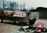 Standbild Konzentrationslager Buchenwald Ettersberg Deutschland, 1945, aus Sekunde 8 historischem Filmmaterial Videoclip 65675055277