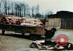 Standbild Konzentrationslager Buchenwald Ettersberg Deutschland, 1945, aus Sekunde 9 historischem Filmmaterial Videoclip 65675055277