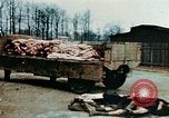 Standbild Konzentrationslager Buchenwald Ettersberg Deutschland, 1945, aus Sekunde 10 historischem Filmmaterial Videoclip 65675055277