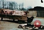 Standbild Konzentrationslager Buchenwald Ettersberg Deutschland, 1945, aus Sekunde 11 historischem Filmmaterial Videoclip 65675055277