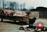 Standbild Konzentrationslager Buchenwald Ettersberg Deutschland, 1945, aus Sekunde 12 historischem Filmmaterial Videoclip 65675055277