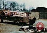 Standbild Konzentrationslager Buchenwald Ettersberg Deutschland, 1945, aus Sekunde 14 historischem Filmmaterial Videoclip 65675055277