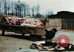 Standbild Konzentrationslager Buchenwald Ettersberg Deutschland, 1945, aus Sekunde 15 historischem Filmmaterial Videoclip 65675055277