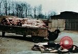 Standbild Konzentrationslager Buchenwald Ettersberg Deutschland, 1945, aus Sekunde 16 historischem Filmmaterial Videoclip 65675055277