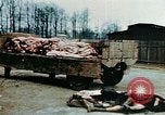 Standbild Konzentrationslager Buchenwald Ettersberg Deutschland, 1945, aus Sekunde 17 historischem Filmmaterial Videoclip 65675055277