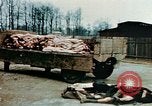 Standbild Konzentrationslager Buchenwald Ettersberg Deutschland, 1945, aus Sekunde 18 historischem Filmmaterial Videoclip 65675055277