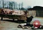 Standbild Konzentrationslager Buchenwald Ettersberg Deutschland, 1945, aus Sekunde 19 historischem Filmmaterial Videoclip 65675055277