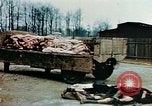 Standbild Konzentrationslager Buchenwald Ettersberg Deutschland, 1945, aus Sekunde 20 historischem Filmmaterial Videoclip 65675055277