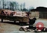 Standbild Konzentrationslager Buchenwald Ettersberg Deutschland, 1945, aus Sekunde 22 historischem Filmmaterial Videoclip 65675055277