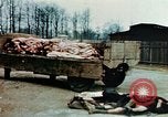 Standbild Konzentrationslager Buchenwald Ettersberg Deutschland, 1945, aus Sekunde 23 historischem Filmmaterial Videoclip 65675055277