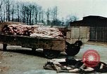 Standbild Konzentrationslager Buchenwald Ettersberg Deutschland, 1945, aus Sekunde 25 historischem Filmmaterial Videoclip 65675055277