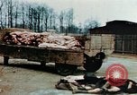 Standbild Konzentrationslager Buchenwald Ettersberg Deutschland, 1945, aus Sekunde 26 historischem Filmmaterial Videoclip 65675055277