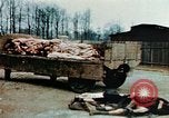 Standbild Konzentrationslager Buchenwald Ettersberg Deutschland, 1945, aus Sekunde 27 historischem Filmmaterial Videoclip 65675055277