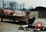 Standbild Konzentrationslager Buchenwald Ettersberg Deutschland, 1945, aus Sekunde 28 historischem Filmmaterial Videoclip 65675055277