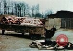 Standbild Konzentrationslager Buchenwald Ettersberg Deutschland, 1945, aus Sekunde 30 historischem Filmmaterial Videoclip 65675055277