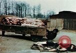 Standbild Konzentrationslager Buchenwald Ettersberg Deutschland, 1945, aus Sekunde 31 historischem Filmmaterial Videoclip 65675055277
