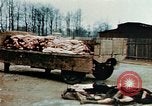 Standbild Konzentrationslager Buchenwald Ettersberg Deutschland, 1945, aus Sekunde 33 historischem Filmmaterial Videoclip 65675055277