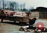 Standbild Konzentrationslager Buchenwald Ettersberg Deutschland, 1945, aus Sekunde 34 historischem Filmmaterial Videoclip 65675055277