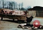Standbild Konzentrationslager Buchenwald Ettersberg Deutschland, 1945, aus Sekunde 35 historischem Filmmaterial Videoclip 65675055277