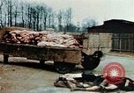Standbild Konzentrationslager Buchenwald Ettersberg Deutschland, 1945, aus Sekunde 38 historischem Filmmaterial Videoclip 65675055277