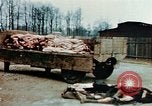 Standbild Konzentrationslager Buchenwald Ettersberg Deutschland, 1945, aus Sekunde 42 historischem Filmmaterial Videoclip 65675055277
