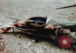 Standbild Opfer im Konzentrationslager Buchenwald Ettersberg Deutschland, 1945, aus Sekunde 3 historischem Filmmaterial Videoclip 65675055278