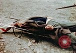 Standbild Opfer im Konzentrationslager Buchenwald Ettersberg Deutschland, 1945, aus Sekunde 14 historischem Filmmaterial Videoclip 65675055278