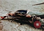 Standbild Opfer im Konzentrationslager Buchenwald Ettersberg Deutschland, 1945, aus Sekunde 15 historischem Filmmaterial Videoclip 65675055278
