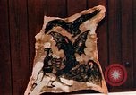 Image of Tattoo skin of concentration camp victims Ettersberg Germany, 1945, second 34 stock footage video 65675055283