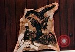 Image of Tattoo skin of concentration camp victims Ettersberg Germany, 1945, second 36 stock footage video 65675055283