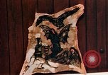 Image of Tattoo skin of concentration camp victims Ettersberg Germany, 1945, second 37 stock footage video 65675055283