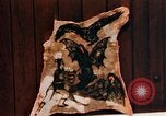 Image of Tattoo skin of concentration camp victims Ettersberg Germany, 1945, second 38 stock footage video 65675055283
